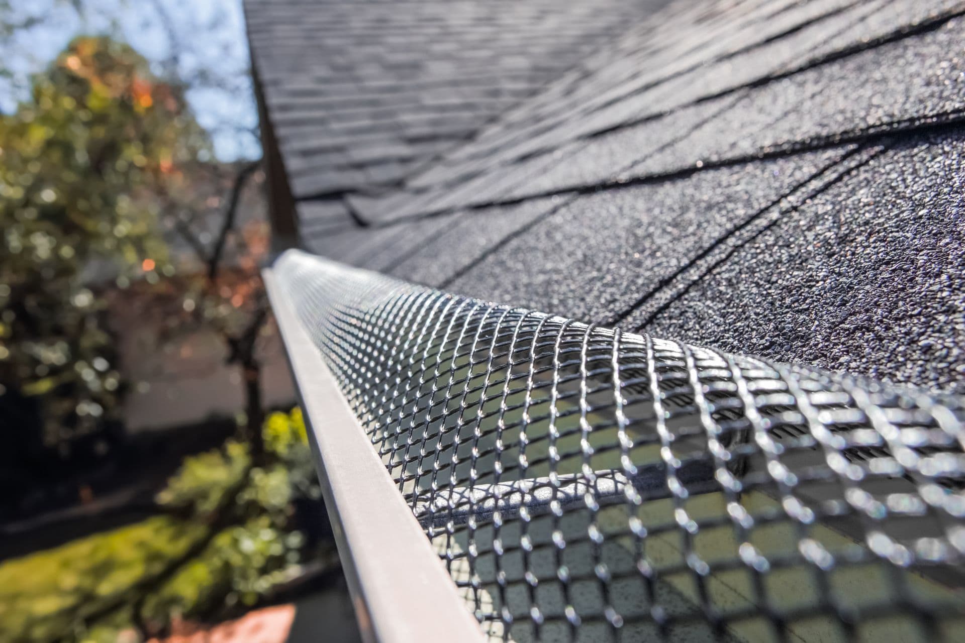 Guard over gutter on a roof.